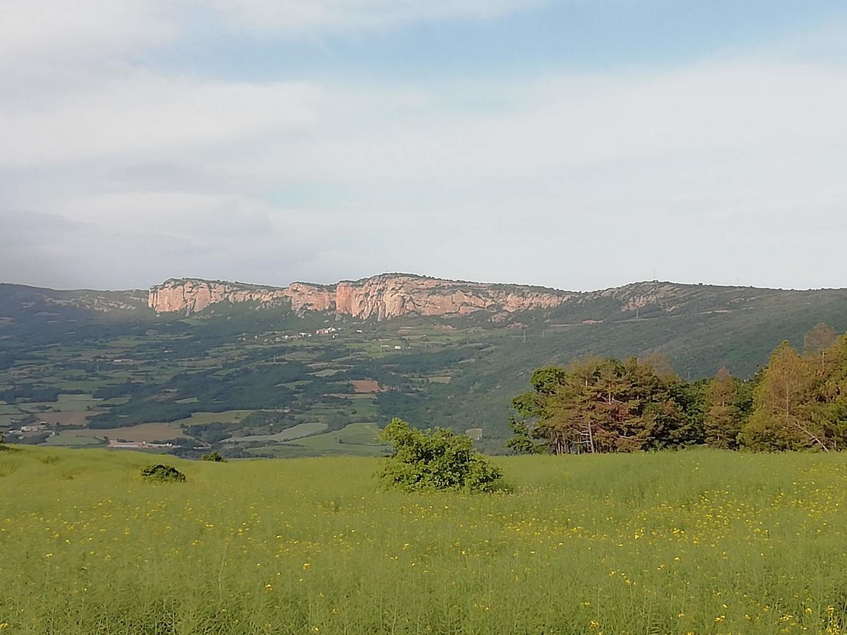 Lo Cel De Tolo Konuk evi Dış mekan fotoğraf