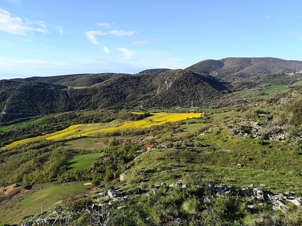 Lo Cel De Tolo Konuk evi Dış mekan fotoğraf