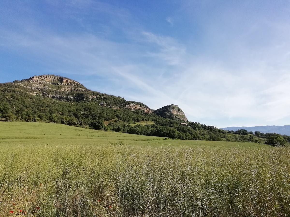 Lo Cel De Tolo Konuk evi Dış mekan fotoğraf