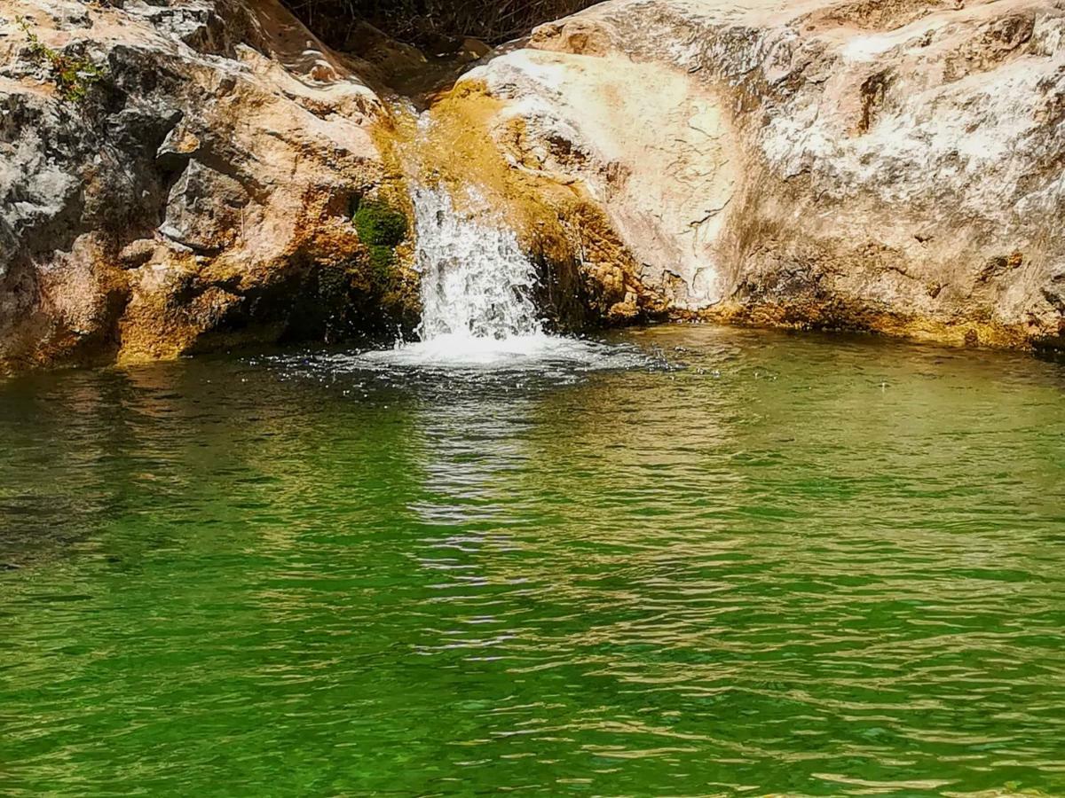 Lo Cel De Tolo Konuk evi Dış mekan fotoğraf